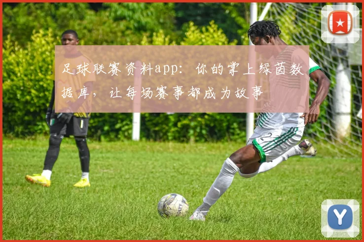 足球联赛资料app：你的掌上绿茵数据库，让每场赛事都成为故事