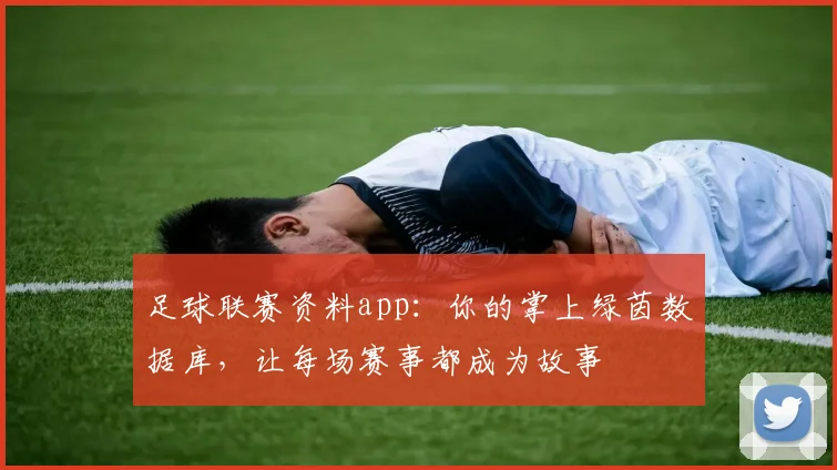 足球联赛资料app:你的掌上绿茵数据库,让每场赛事都成为故事