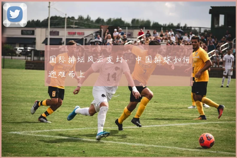 国际排坛风云变幻，中国排球如何迎难而上